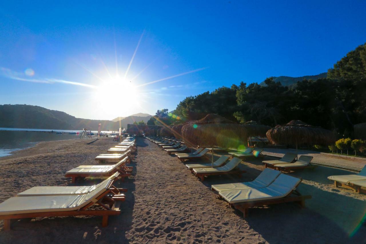 היסרונו Green Pine Beach & Bungallows מראה חיצוני תמונה