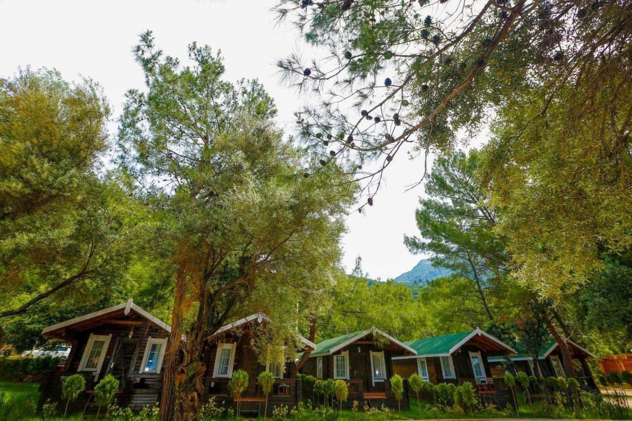 היסרונו Green Pine Beach & Bungallows מראה חיצוני תמונה